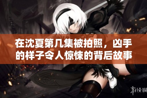 在沈夏第几集被拍照，凶手的样子令人惊悚的背后故事揭秘