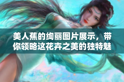 美人蕉的绚丽图片展示，带你领略这花卉之美的独特魅力