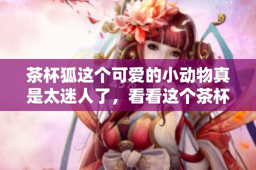 茶杯狐这个可爱的小动物真是太迷人了，看看这个茶杯狐的详细介绍吧