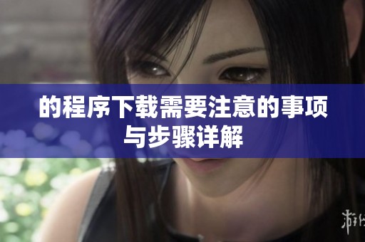 的程序下载需要注意的事项与步骤详解