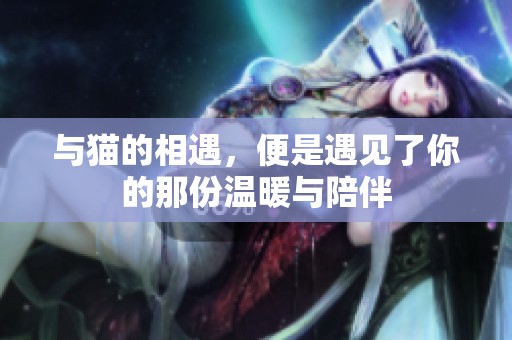 与猫的相遇，便是遇见了你的那份温暖与陪伴