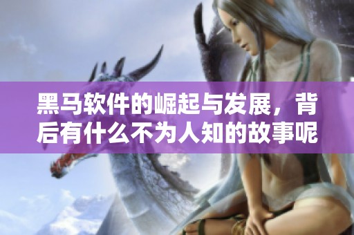 黑马软件的崛起与发展，背后有什么不为人知的故事呢