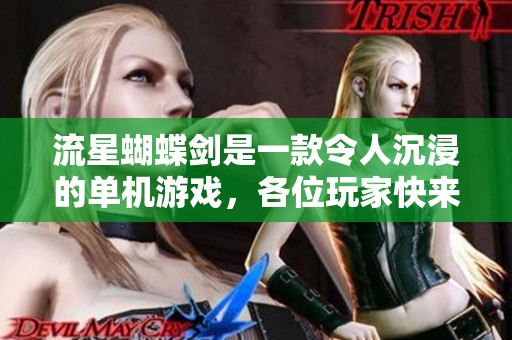 流星蝴蝶剑是一款令人沉浸的单机游戏，各位玩家快来体验吧