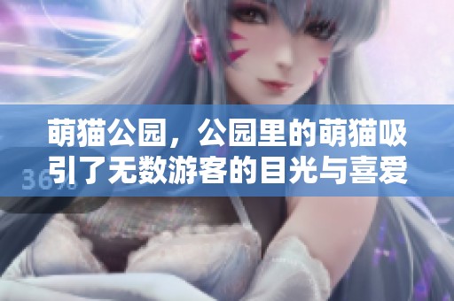 萌猫公园，公园里的萌猫吸引了无数游客的目光与喜爱