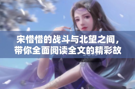 宋惜惜的战斗与北望之间，带你全面阅读全文的精彩故事