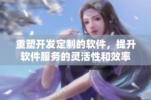 重塑开发定制的软件，提升软件服务的灵活性和效率