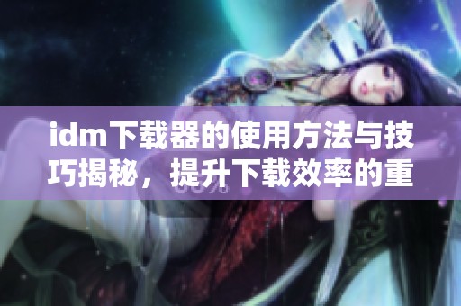 idm下载器的使用方法与技巧揭秘，提升下载效率的重要工具推荐