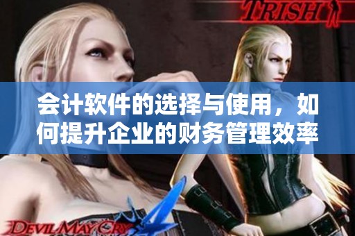 会计软件的选择与使用，如何提升企业的财务管理效率