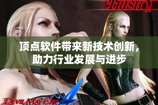 顶点软件带来新技术创新，助力行业发展与进步