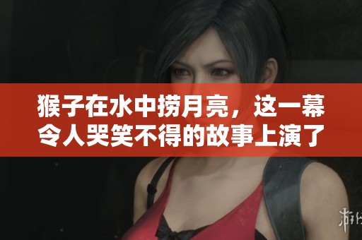 猴子在水中捞月亮，这一幕令人哭笑不得的故事上演了