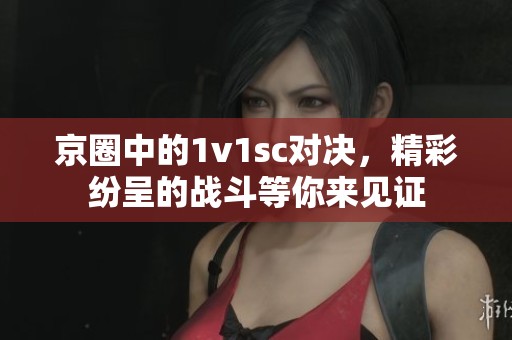 京圈中的1v1sc对决，精彩纷呈的战斗等你来见证