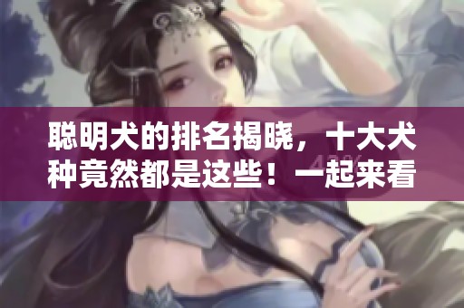 聪明犬的排名揭晓，十大犬种竟然都是这些！一起来看看吧！