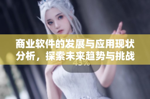 商业软件的发展与应用现状分析，探索未来趋势与挑战的客观视角