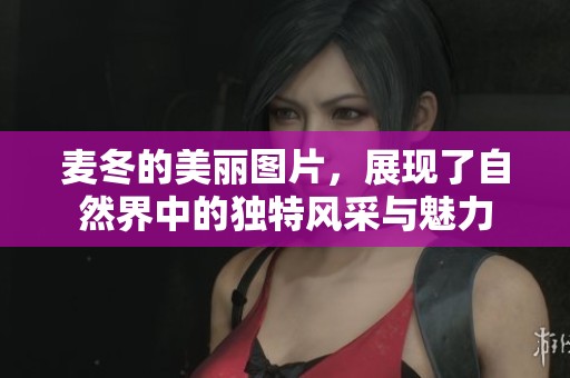 麦冬的美丽图片，展现了自然界中的独特风采与魅力