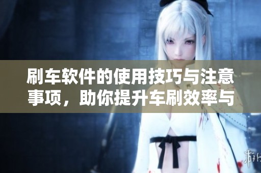 刷车软件的使用技巧与注意事项，助你提升车刷效率与安全性