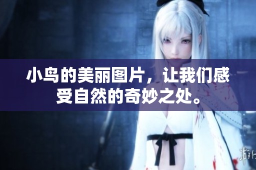 小鸟的美丽图片，让我们感受自然的奇妙之处。