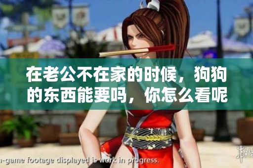 在老公不在家的时候，狗狗的东西能要吗，你怎么看呢