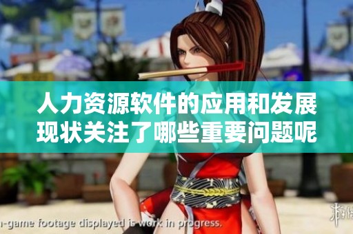 人力资源软件的应用和发展现状关注了哪些重要问题呢