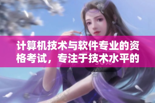 计算机技术与软件专业的资格考试，专注于技术水平的评估与认证