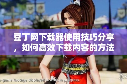 豆丁网下载器使用技巧分享，如何高效下载内容的方法揭秘
