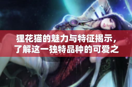 狸花猫的魅力与特征揭示，了解这一独特品种的可爱之处
