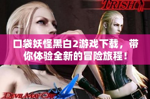 口袋妖怪黑白2游戏下载，带你体验全新的冒险旅程！