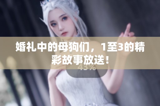 婚礼中的母狗们，1至3的精彩故事放送！