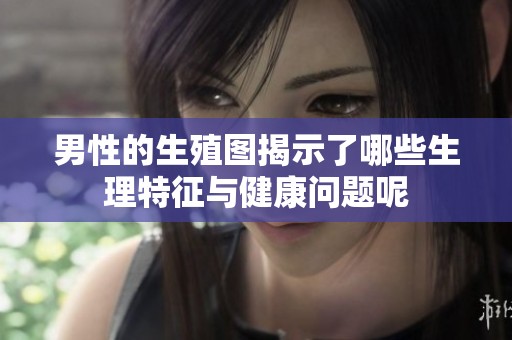 男性的生殖图揭示了哪些生理特征与健康问题呢