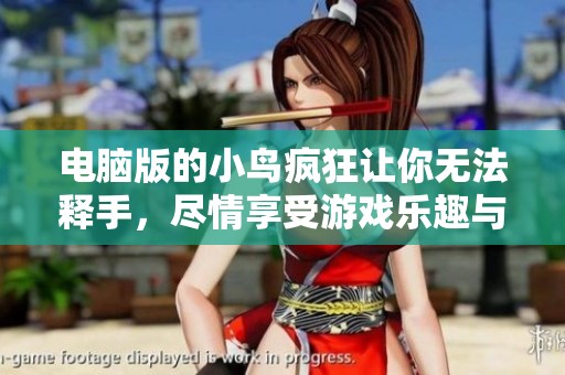 电脑版的小鸟疯狂让你无法释手，尽情享受游戏乐趣与挑战