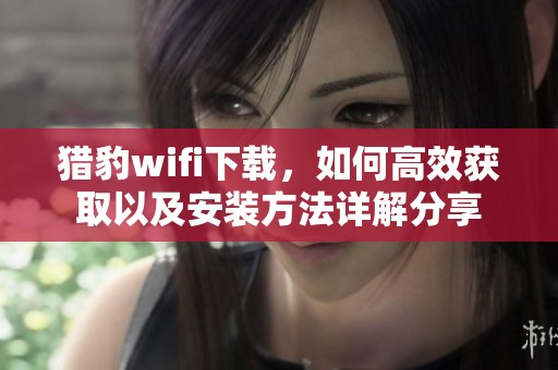 猎豹wifi下载，如何高效获取以及安装方法详解分享