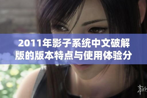 2011年影子系统中文破解版的版本特点与使用体验分享