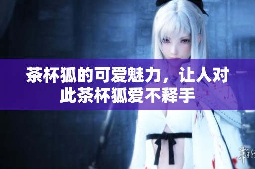 茶杯狐的可爱魅力，让人对此茶杯狐爱不释手