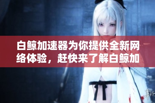 白鲸加速器为你提供全新网络体验，赶快来了解白鲸加速器的强大功能吧