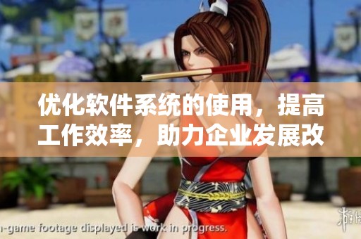 优化软件系统的使用，提高工作效率，助力企业发展改革