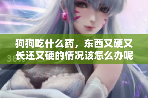 狗狗吃什么药，东西又硬又长还又硬的情况该怎么办呢