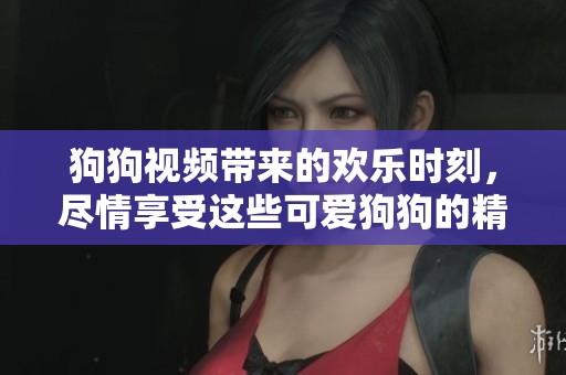 狗狗视频带来的欢乐时刻，尽情享受这些可爱狗狗的精彩瞬间