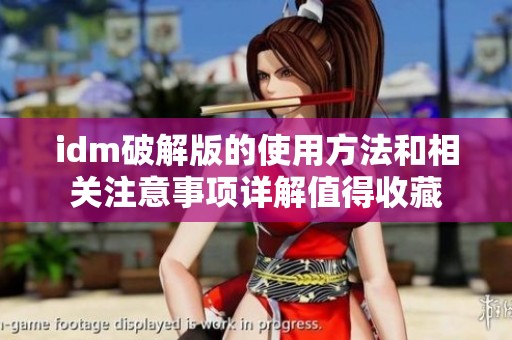 idm破解版的使用方法和相关注意事项详解值得收藏