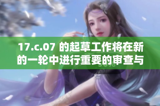 17.c.07 的起草工作将在新的一轮中进行重要的审查与修改