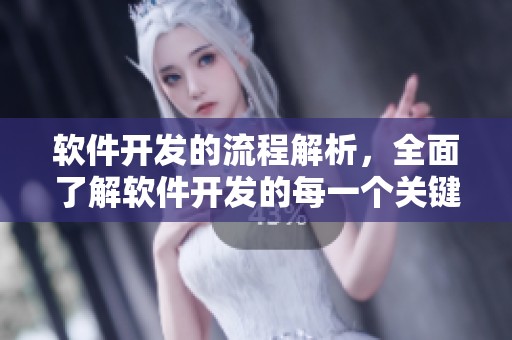 软件开发的流程解析，全面了解软件开发的每一个关键环节
