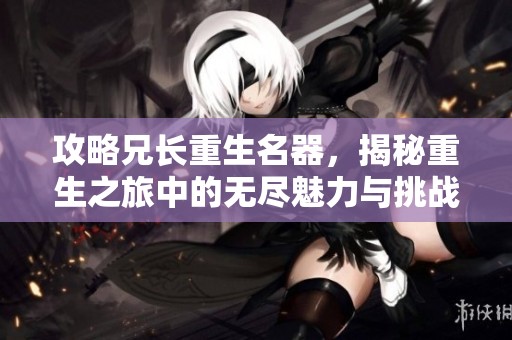 攻略兄长重生名器，揭秘重生之旅中的无尽魅力与挑战