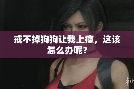 戒不掉狗狗让我上瘾，这该怎么办呢？