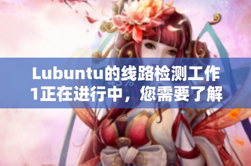 Lubuntu的线路检测工作1正在进行中，您需要了解的相关信息与注意事项