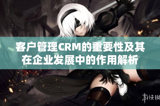 客户管理CRM的重要性及其在企业发展中的作用解析