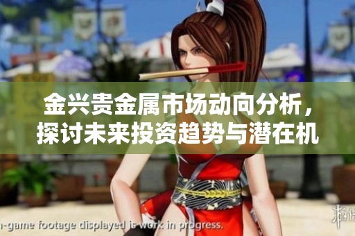 金兴贵金属市场动向分析，探讨未来投资趋势与潜在机会