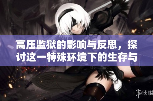 高压监狱的影响与反思，探讨这一特殊环境下的生存与挑战