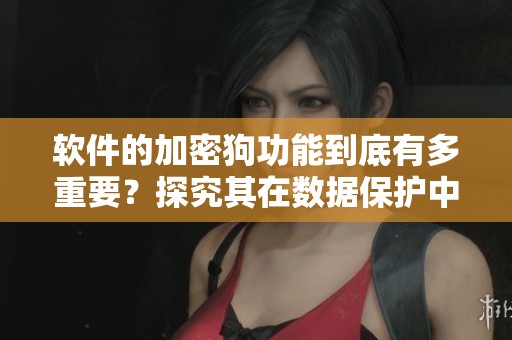 软件的加密狗功能到底有多重要？探究其在数据保护中的关键作用