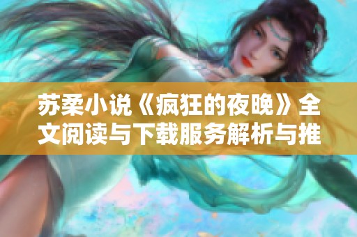 苏柔小说《疯狂的夜晚》全文阅读与下载服务解析与推荐