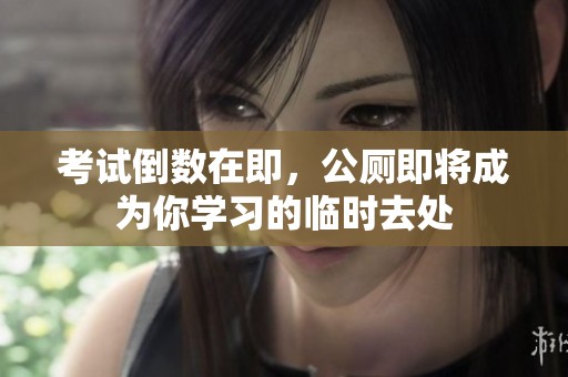 考试倒数在即，公厕即将成为你学习的临时去处
