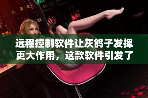 远程控制软件让灰鸽子发挥更大作用，这款软件引发了广泛关注与讨论