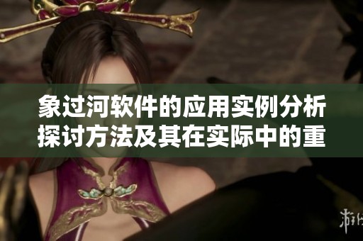 象过河软件的应用实例分析探讨方法及其在实际中的重要性